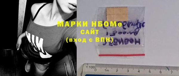 хмурый Алзамай