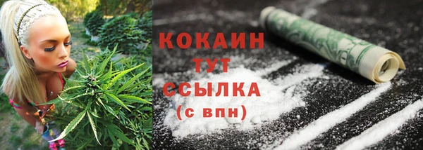 твердый Куйбышев
