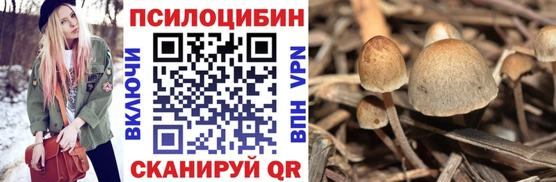 Галлюциногенные грибы мицелий  Урюпинск 